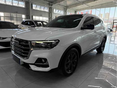 2021 Haval H6 Model National Trend Edition 1.5T Auto Champion, фото 1, лот 10300054