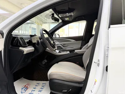 2024 BYD Song Pro New Energy Glory Edition DM-i 71KM Pilot, фото 4, лот 11194842