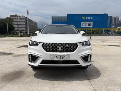 2021 WEY VV5 1.5T 2WD Smart Pioneer, фото 2, лот 10611552