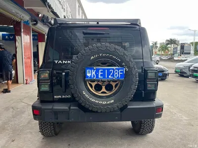 2021 Tank 300 Off-road Version 2.0T Conqueror, фото 4, лот 10344168