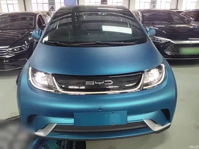 2021 BYD Dolphin Model 405km Fashion Edition, фото 3, лот 10263925