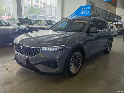 2021 Voyah Auto VOYAH FREE AWD Standard Range Extender Exclusive Luxury Package, фото 1, лот 10310877