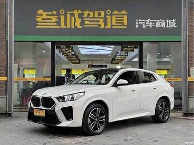 2025 BMW X2 (Import) sDrive25i M Sport Package, фото 1, лот 11012647