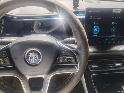 2021 BYD Qin PLUS EV 500KM Premium Model, фото 4, лот 10817133