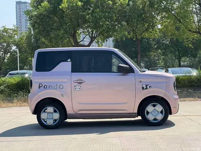 2023 Geely Galaxy Panda Mini 200km Endurance Bear, фото 2, лот 11242585