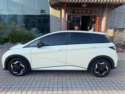 2021 BYD Dolphin Model 405km Fashion Edition, фото 4, лот 11584506