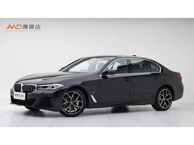 2022 BMW 5 Series Facelift II 530Li Premium Package M Sport, фото 1, лот 10445688