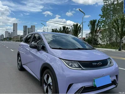 2023 BYD Dolphin 420km Fashion Edition, фото 3, лот 10255279