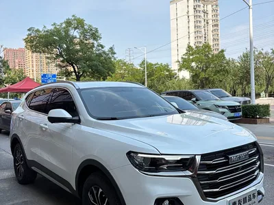 2021 Haval H6 National Trend Edition 1.5T Automatic Urban Edition, фото 3, лот 10283563