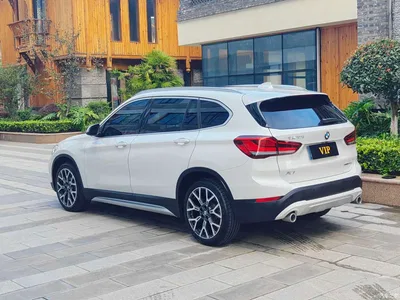 2022 BMW X1 xDrive25Li Premium, фото 4, лот 10662134