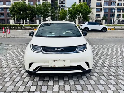 2021 Byd Dolphin, фото 3, лот 10244444