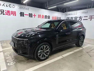 2024 Lynk & Co 09 2.0T 4WD Sport Edition 5-Seater, фото 1, лот 10316623