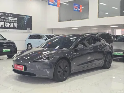 2023 Tesla Model 3 Rear-Wheel Drive, фото 1, лот 11527944