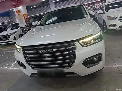 2020 Haval H6 1.5GDIT Automatic Platinum Champion Edition, фото 3, лот 10284243