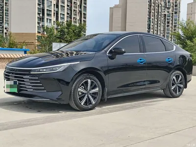 2024 BYD Destroyer 05 Glory Edition DM-i 120KM Luxury, фото 1, лот 10256695