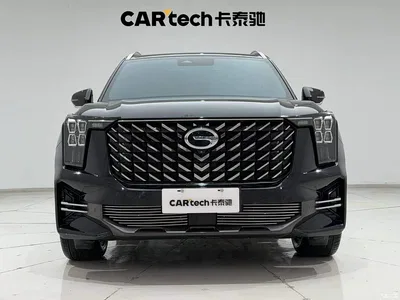 2022 GAC Trumpchi Trumpchi GS8 Pilot Series 2.0TGDI 2WD Premium Edition (7-Seater), фото 3, лот 10417066