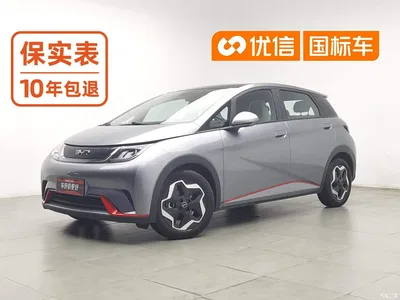 2021 BYD Dolphin Model 405km Fashion Edition, фото 1, лот 10252837