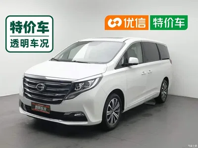 2018 GAC Trumpchi Trumpchi M8 320T Premium Edition, фото 1, лот 11183722
