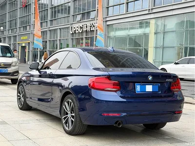 2018 BMW 2 Series (Import) 220i Sport Design Package, фото 4, лот 11215409