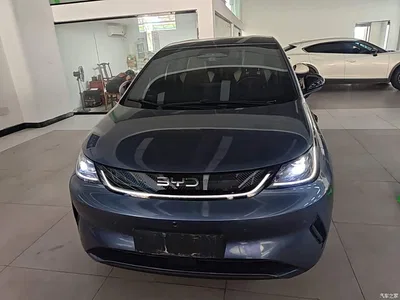 2025 BYD Dolphin Smart Drive Edition 420km Freedom Version, фото 3, лот 10894007