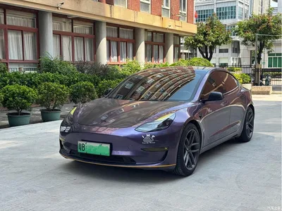 2021 Tesla Model 3 Second Facelift Performance High-Performance AWD Version, фото 1, лот 11300724
