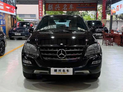 2010 Mercedes-Benz M-Class ML 350 4MATIC Luxury Special Edition, фото 2, лот 11007495