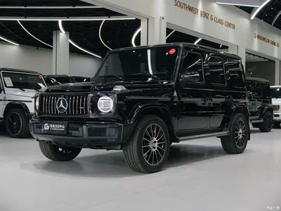 2019 Mercedes-Benz G-Class G 500, фото 1, лот 10280898