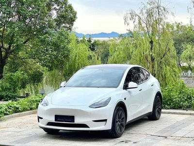 2024 Tesla Model Y Rear-Wheel Drive Version, фото 1, лот 11188470