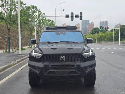 2023 Mengshi 917 Extended Range Base Version, фото 2, лот 11643948
