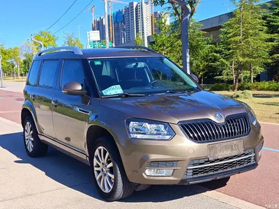 2017 Škoda Yeti TSI280 DSG Pioneer, фото 3, лот 10349417