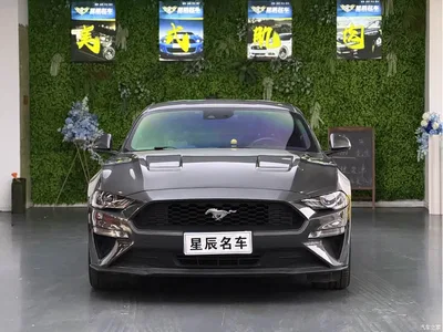 2019 Ford Mustang 2.3L EcoBoost, фото 3, лот 10297097