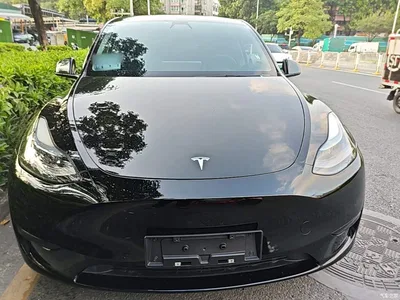 2022 Tesla Model Y Rear-Wheel Drive Version, фото 3, лот 11104238