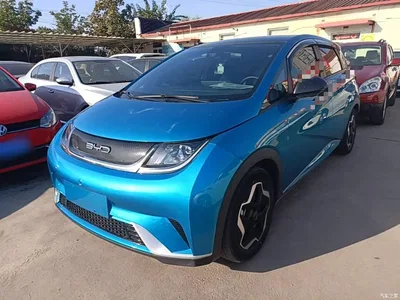 2021 BYD Dolphin Model 405km Fashion Edition, фото 2, лот 11565906