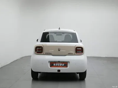 2021 Ora Black Cat 301km Pet Edition, фото 4, лот 10330365