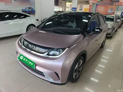 2024 BYD Dolphin Glory Edition 420km Freedom Edition, фото 1, лот 10482312