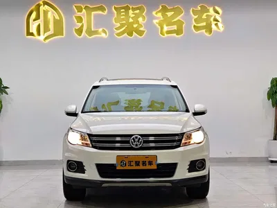 2010 Volkswagen Tiguan 2.0TSI Automatic 4WD Elite, фото 2, лот 10428594