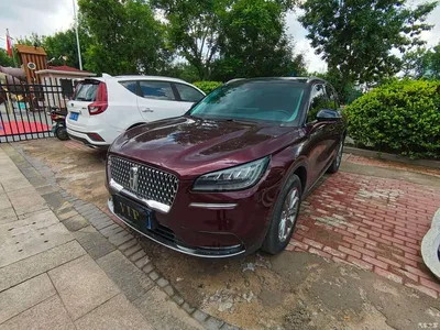 2020 Lincoln Adventurer 2.0T 2WD Premium Enjoyment Edition, фото 1, лот 10357652