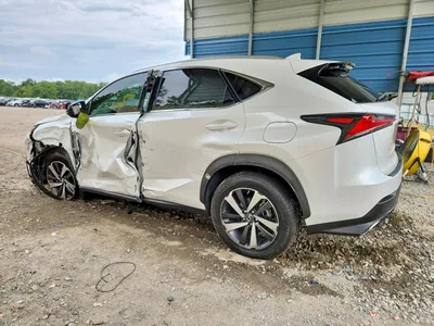 2021 LEXUS NX300, фото 2, лот 11150591