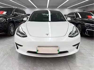2019 Tesla Model 3 Standard Range Rear-Wheel Drive Upgrade, фото 2, лот 11067419