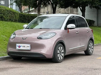 2023 Wuling Motors Wuling Bingo 333km Joyful Version, фото 1, лот 11535761