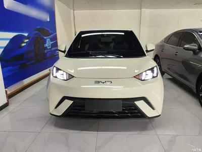 2024 BYD Seagull Glory Edition 405km Soaring Edition, фото 3, лот 10262749
