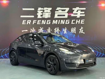 2024 Tesla Model Y Rear-Wheel Drive Version, фото 3, лот 11179100