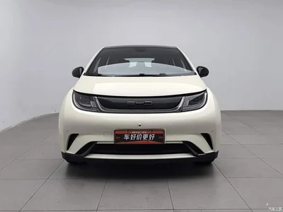 2023 BYD Dolphin 420km Fashion Edition, фото 3, лот 10249954