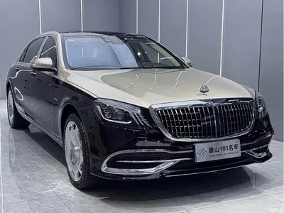 2020 Mercedes-Benz Maybach S-Class S 680 Dual-tone Collector's Edition, фото 3, лот 10280268