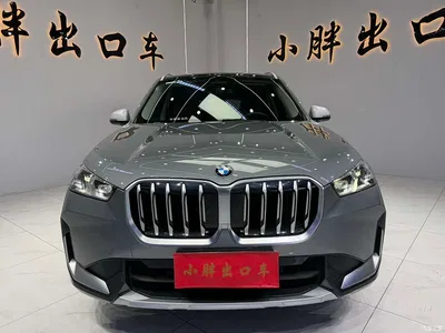 2023 BMW X1 sDrive20Li X Design Package, фото 2, лот 10465253
