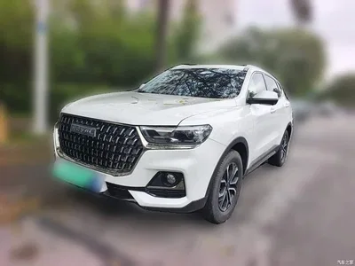 2023 Haval H6 National Trend Edition 1.5T Automatic Urban, фото 2, лот 10658365