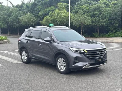 2019 GAC Trumpchi Trumpchi GS5 270T Automatic Elite, фото 3, лот 10417615