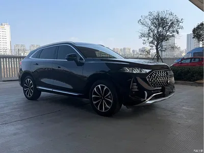 2021 WEY Mocha 2.0T 2WD Extra Rich Edition, фото 3, лот 11152195