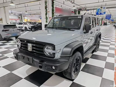 2021 Tank 300 Off-road Version 2.0T Conqueror, фото 2, лот 11178772