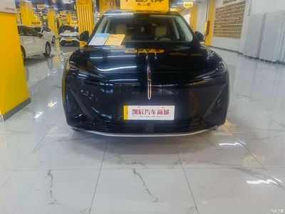 2025 Hongqi Tiangong 06 520, фото 1, лот 10679253